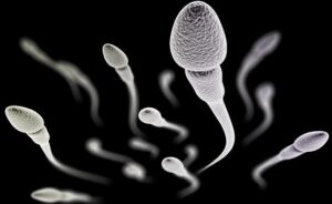 posa ksereis gia to sperma soy-